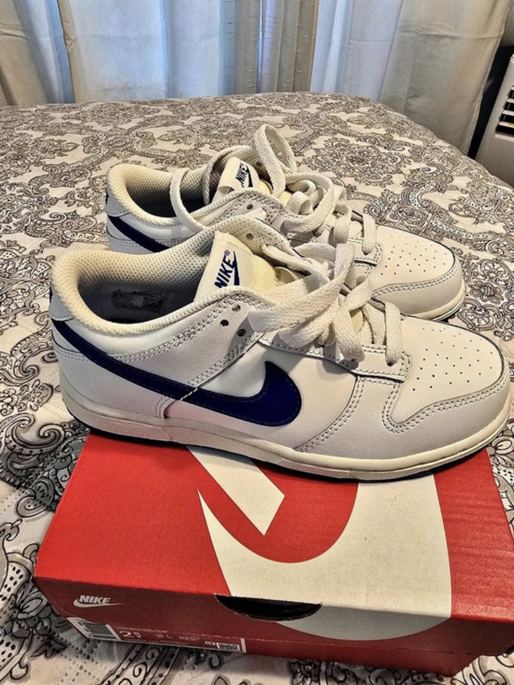 Nike Dunk Low (PS) ) White & Blue Girls US 2.5 New With Box